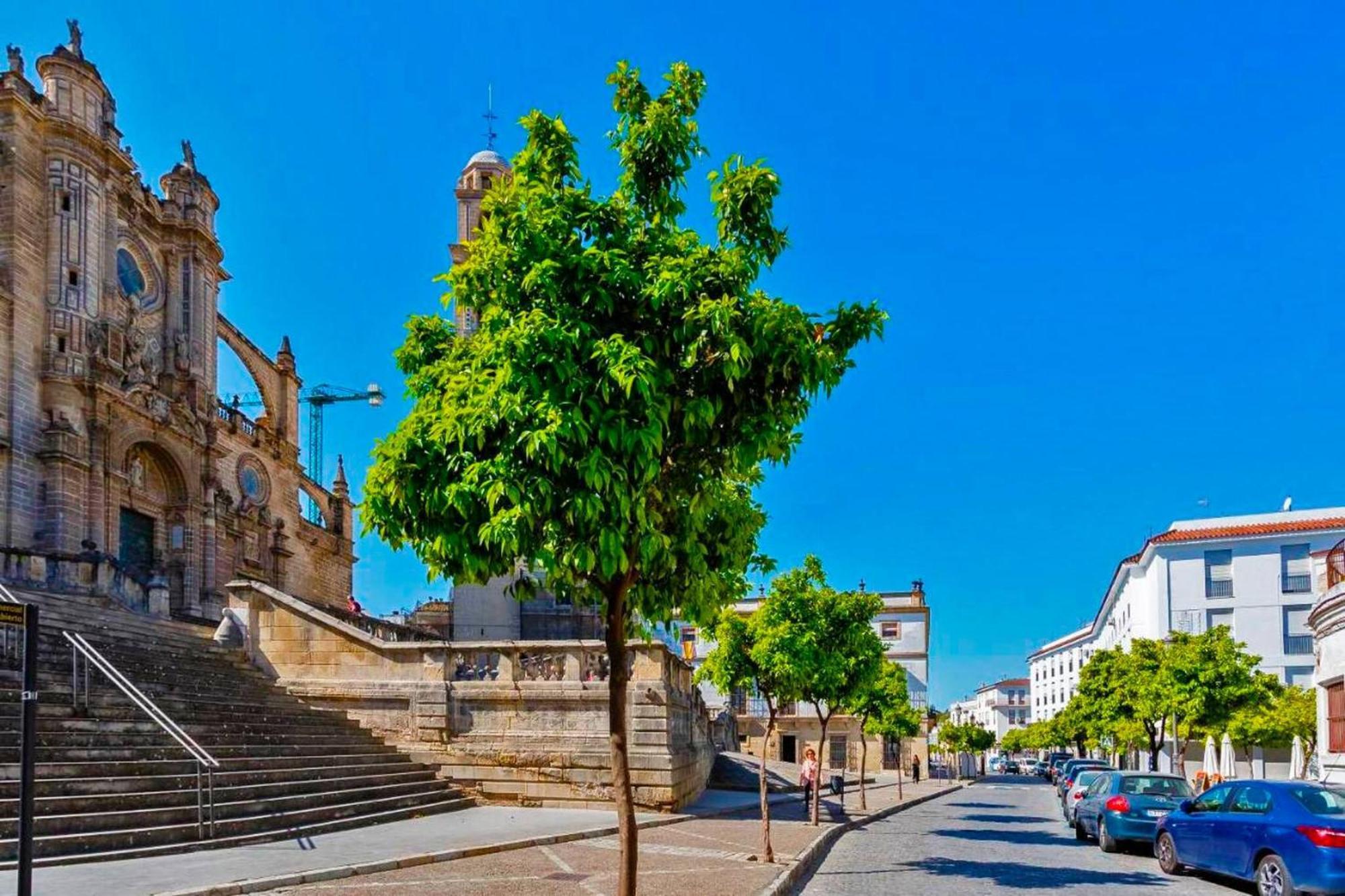 Apartamento La Torre De La Catedral - Ole Solutions Jerez de la Frontera Exterior foto